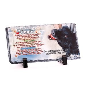 Dog Slate
