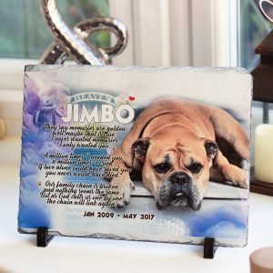 Dog Slate