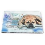 Dog Slate