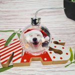 Personalized Picture Printed Baubles