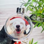 Personalized Picture Printed Baubles