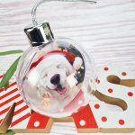 Personalized Picture Printed Baubles